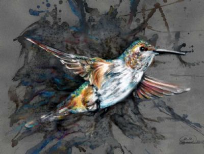 The emerge of the humming bird